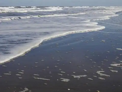 Terreno en Venta de 1375,0 m2