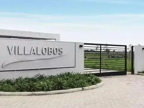 Villalobos Lote / N° 443
