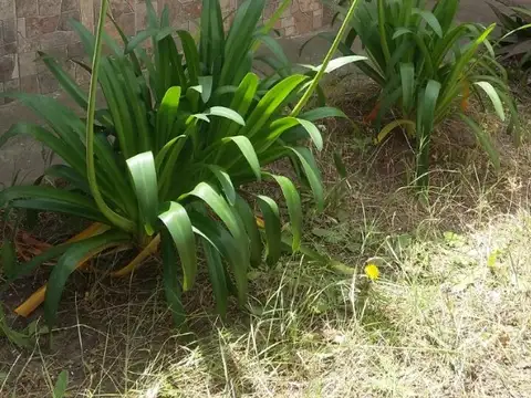 Casa en Alquiler Temporal de 2 dormitorios