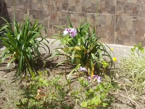 Casa en Alquiler Temporal en Mar Del Tuyu, $ 80.000