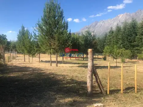 Las Golondrinas
