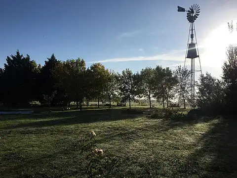 Campo en Venta Chacra
