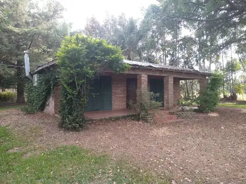 Ruta 22