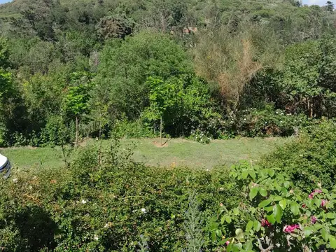 bartolome jaime 800 800