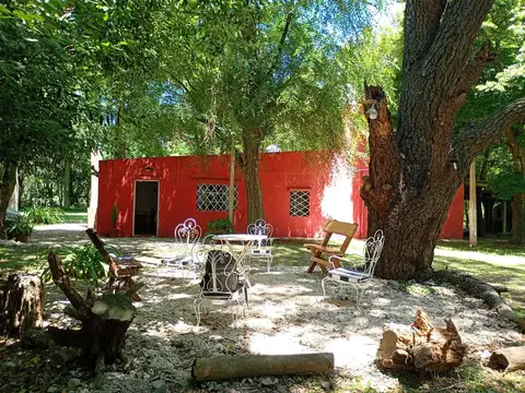 VENTA QUINTA CON PILETA 3 HECTAREAS EN PILAR