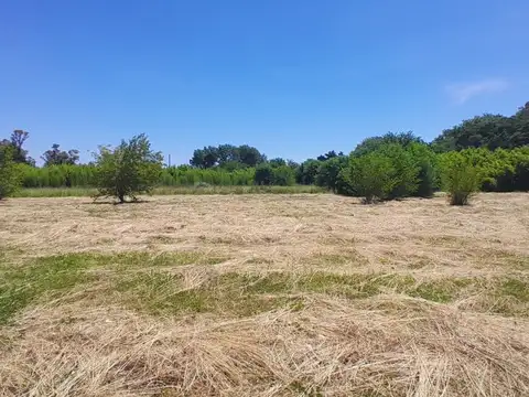 Quinta en Venta en Pilar, USD 750.000