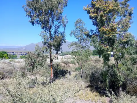 Terreno en Venta en  Blanco Encalada