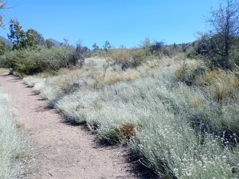 Terreno en Venta en  Blanco Encalada