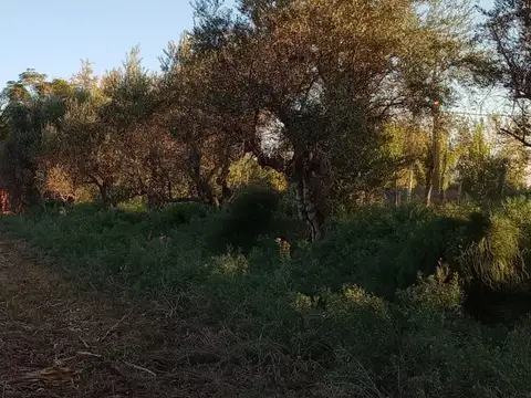 Venta de finca con dos casas mixta,Los corralitos 