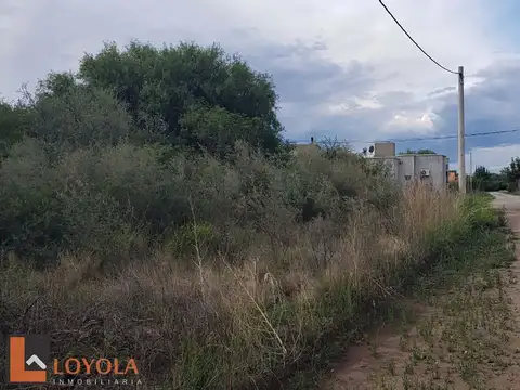 Publica ( Barrio Los Troncos )