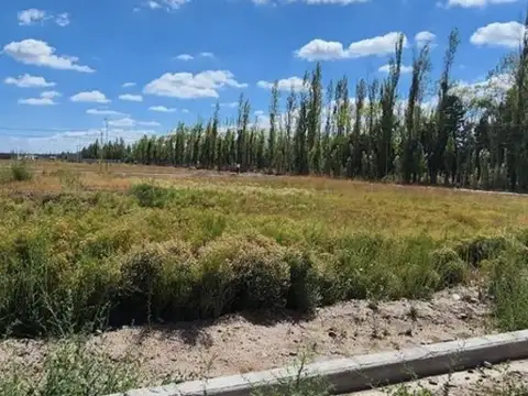 Terreno en Venta en General Fernandez Oro, USD 20.000