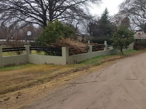LAS MARGARITAS