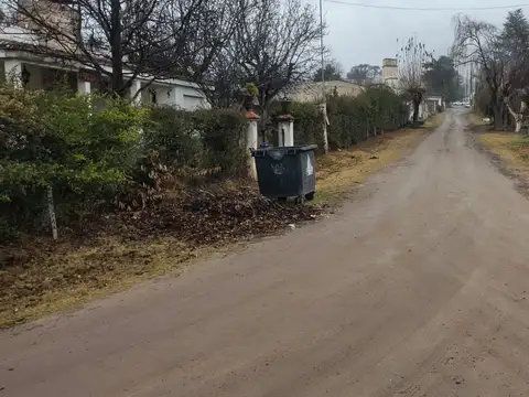 LAS MARGARITAS