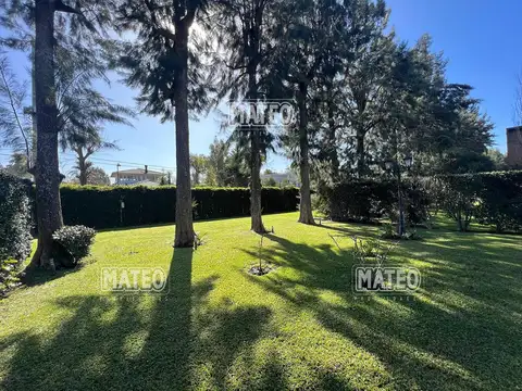 Almafuerte 3900