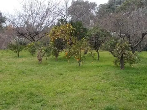Terreno en Venta de 3125,0 m2