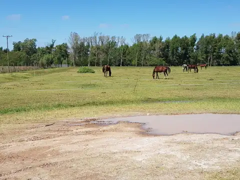 Terreno en Venta en El Malacate, USD 62.500