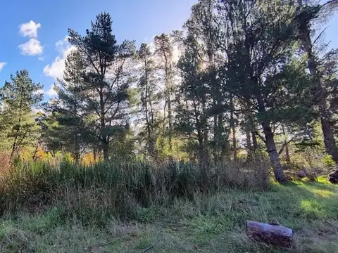 Terreno en Venta 65  mts Fondo