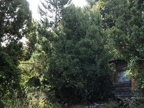Ruta 71 y Callejón Peña
