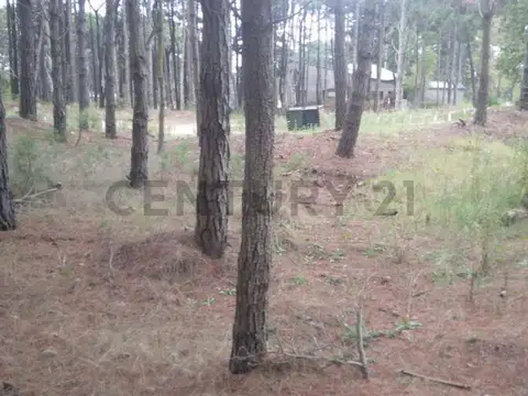 Serena 1 300, Piso 0