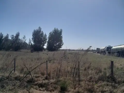 Don Bosco 4198, B8000 Bahía Blanca, Provincia de Buenos Aires, 100