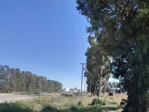 Don Bosco 4198, B8000 Bahía Blanca, Provincia de Buenos Aires, 100