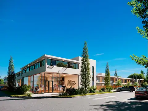 MIGUEL GALINDO Y GDOR. VERA