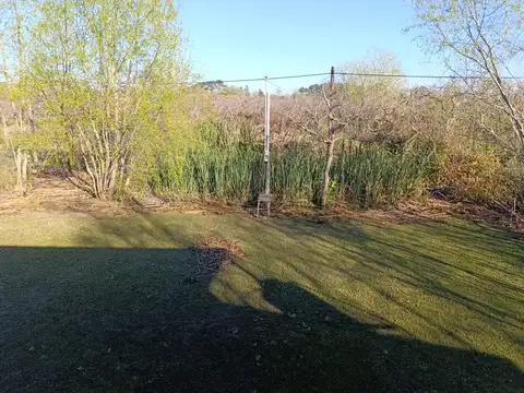 Arroyo Urion 100