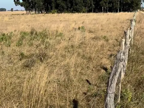 Lote en venta cerca de laguna pucu