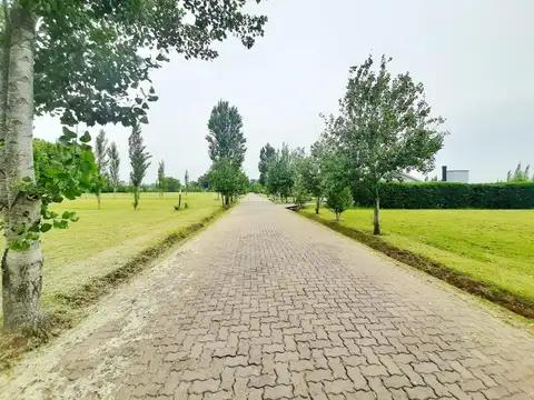 Terreno en Venta 67  mts Frente