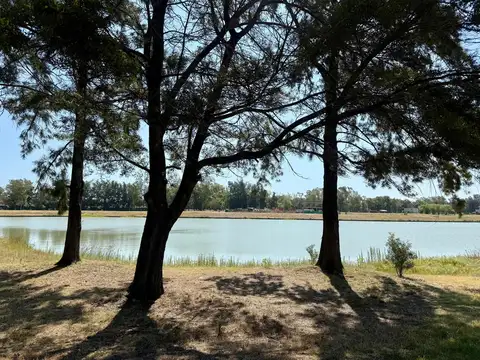 Terreno Sobre La Laguna en Azzurra, Tortugas, Pilar