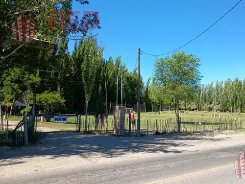 Vende Chacra 10H en Gral Roca Apta Produccion