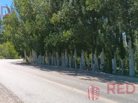 Chacra 10H en Gral Roca apta produccion