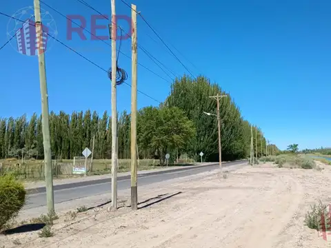 Chacra 10H en Gral Roca apta produccion