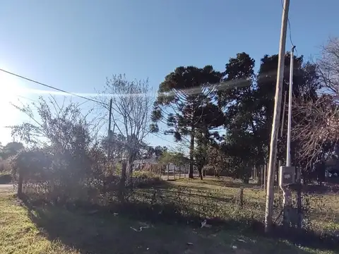 Terreno en Venta 40  mts Fondo