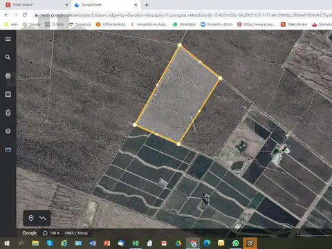 Vende excepcional finca de 60 hectáreas en Valle de Uco, Mendoza