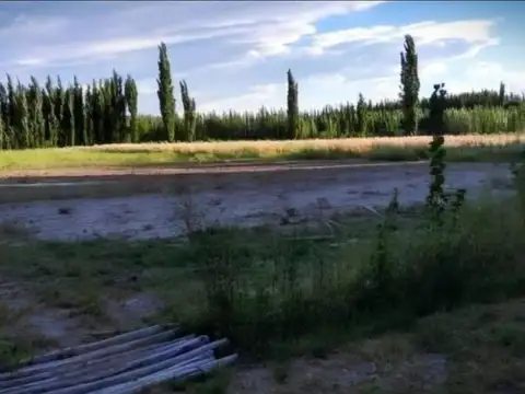 Campo en Venta en Calingasta, San Juan