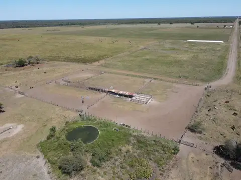 3218 hectáreas ganaderas de cría y recría con 400 hectáreas limpias para forraje y pasturas