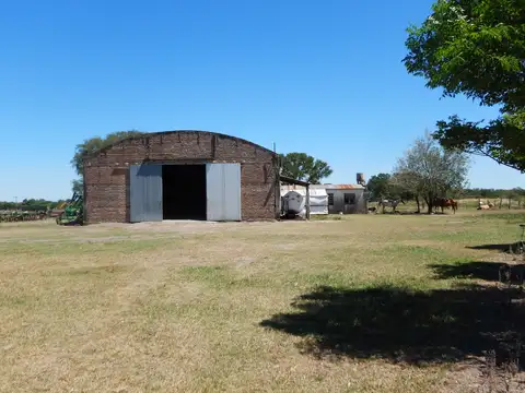 Campo en Venta Ganadero