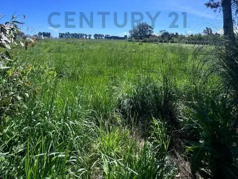 Terreno en Venta 73  mts Fondo
