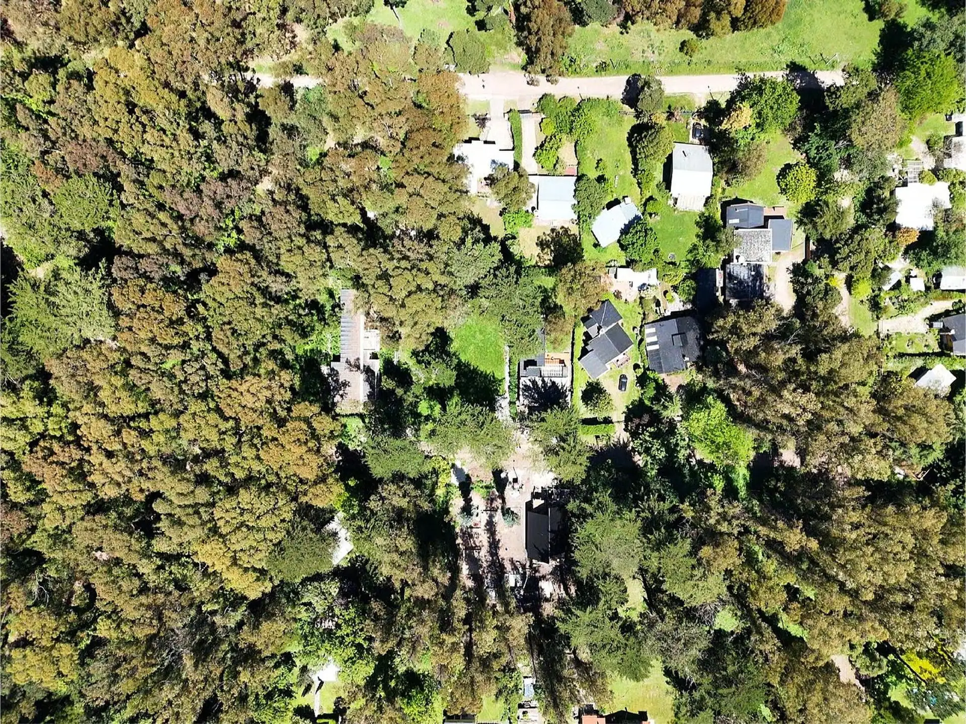 Terreno en el tradicional Bosque Peralta Ramos