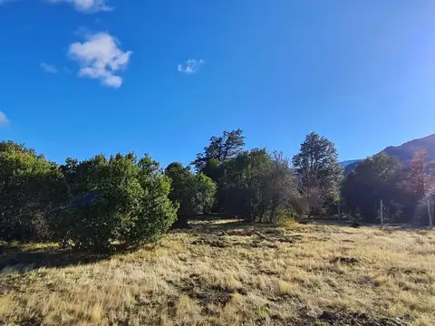 Península la vera del lago Meliquina