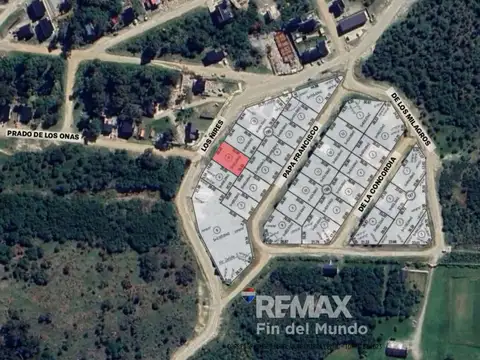 Los Ñires 4000