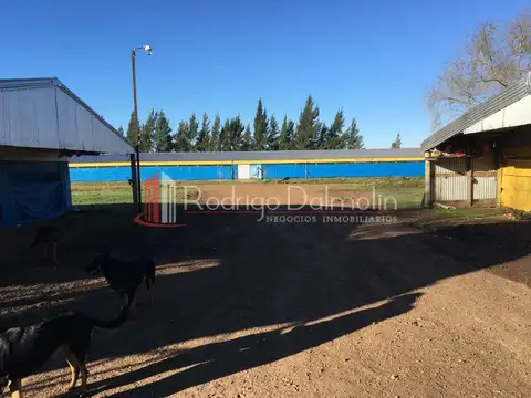 VENDO. Granja Avícola de Crianza de Pollos para Frigorífico.
