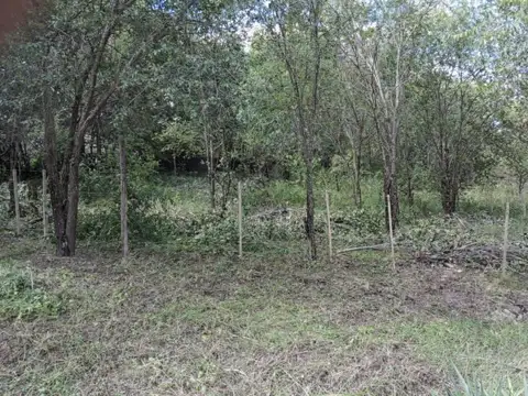 Lote en Cosquín, Córdoba | Servicios disponibles.