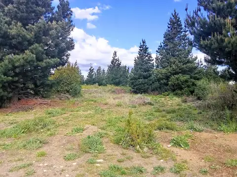 Combate Cucha Cucha y Bacacay - Barrio Abedules