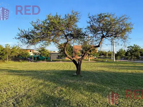 Terreno en venta - Tejas 4