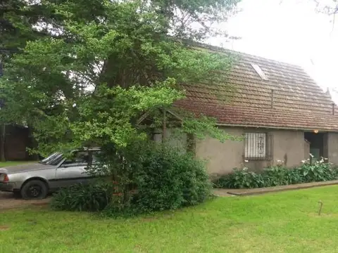 Capitan Martinez 300