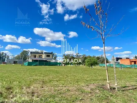 Terreno en Venta de 462,0 m2