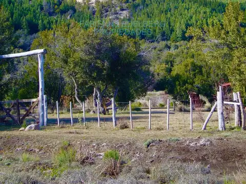Terreno en Venta 50  mts Fondo