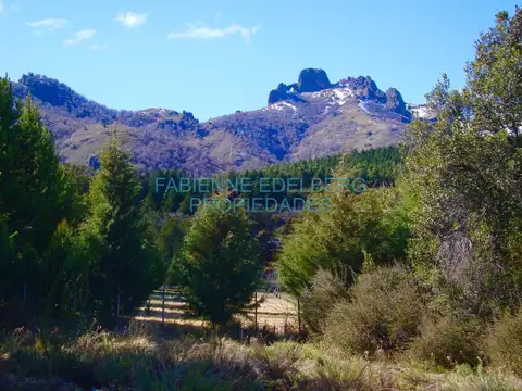 Lote en Meliquina a 100 m de la ruta | Plano y con asfalto en desarrollo - Villa Lago Meliquina